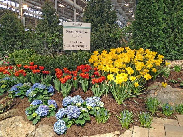 Spring flowers and Landscape Display